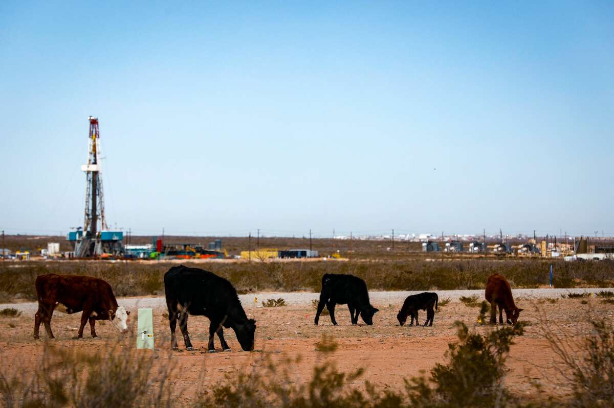 Cattle graze near a drilling operation and compressor station, February 17, 2020, near Orla, Texas, in the Permian Basin. MANDATORY CREDIT: The Oilfield Photographer, Inc.