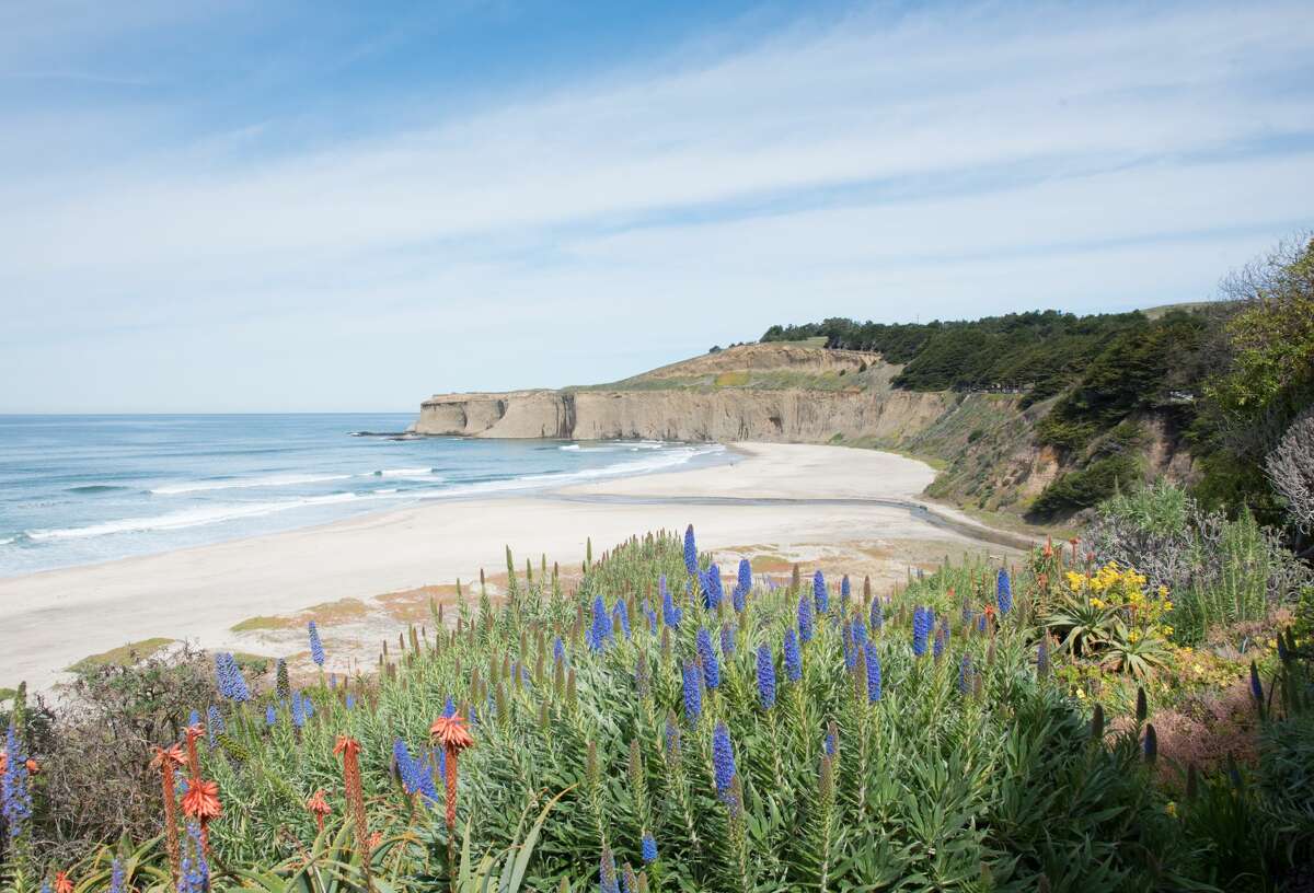 Tunitas Creek Beach was formerly owned by rocker Chris Isaak. He sold the property to the Peninsula Open Space Trust three years ago and it was recently purchased by San Mateo County to be transformed into a public park.