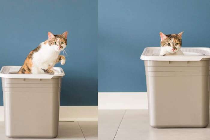 998d remote training system