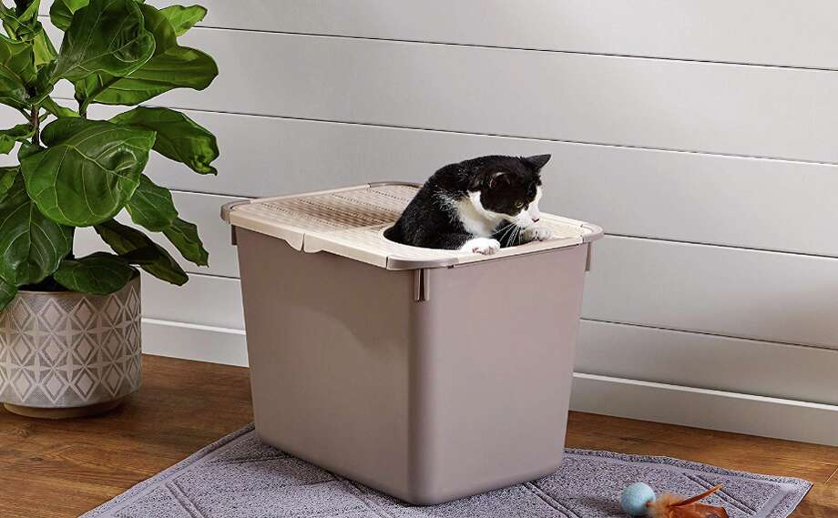 cat box alternatives