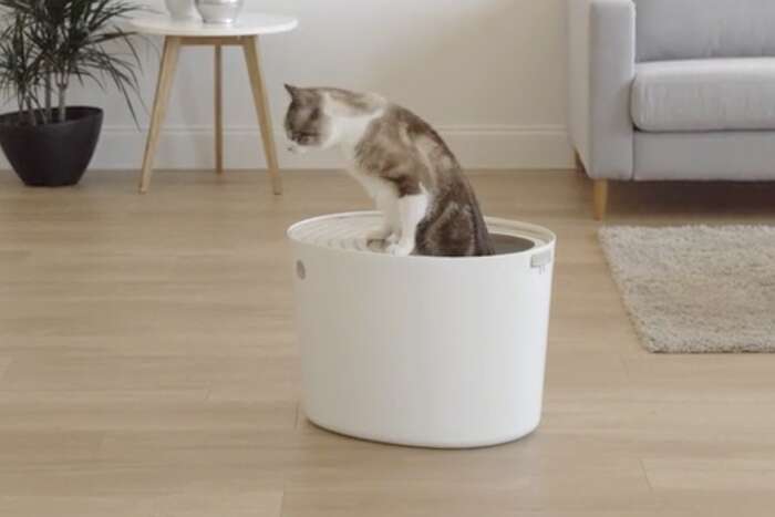 front entry litter box