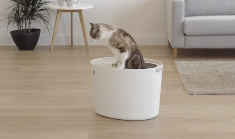open top litter box