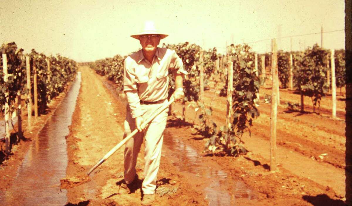 “Doc” McPherson is considered by many as the “Father of Wine” in Texas, getting the first winery in Texas after Prohibition literally destroyed all of the wineries in Texas except one.