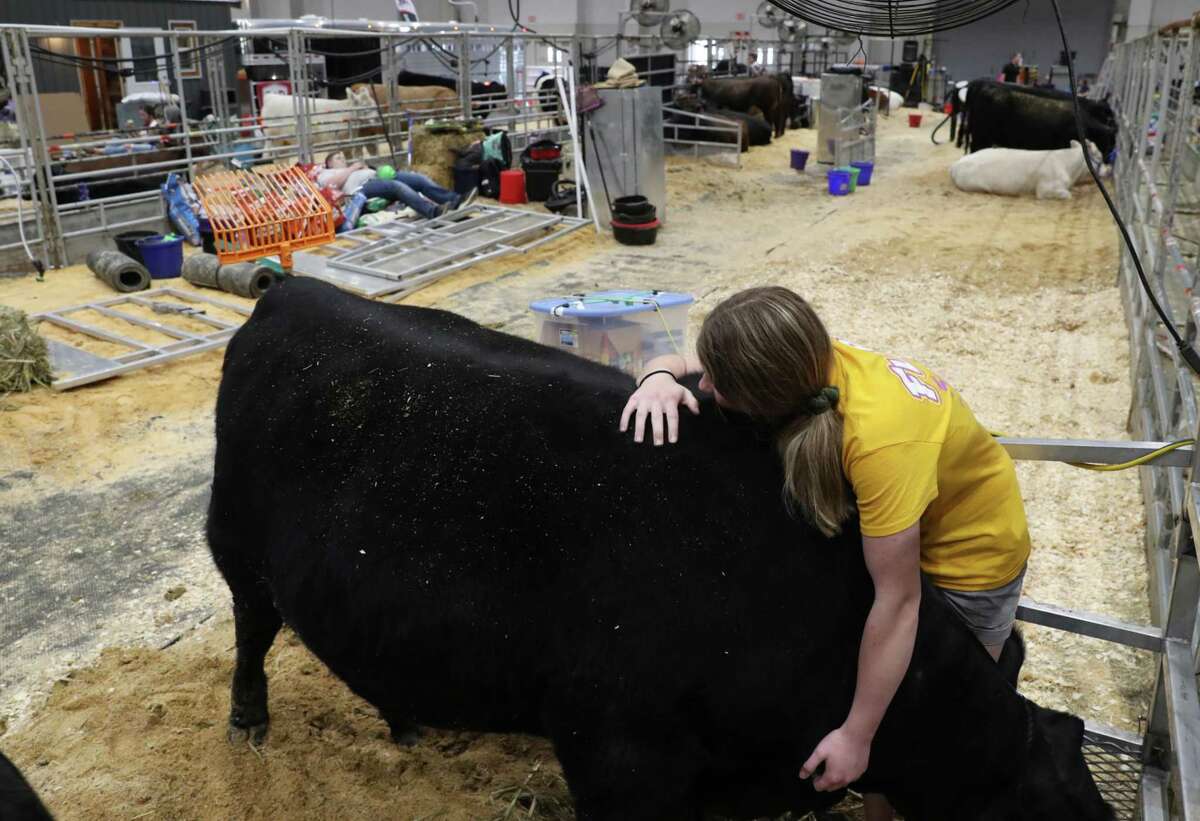 Payton Alexander, 13, from Glen Rose, Texas, hugs Skyy as she waits to leave the Houston Livestock Show and Rodeo after its cancellation was announced because of concerns about COVID-19, on Wednesday, March 11, 2020, at NRG Stadium in Houston. "Even if I didn't show her today, when I look at her I know if I did show her she would have done the best she could have," Alexander said.