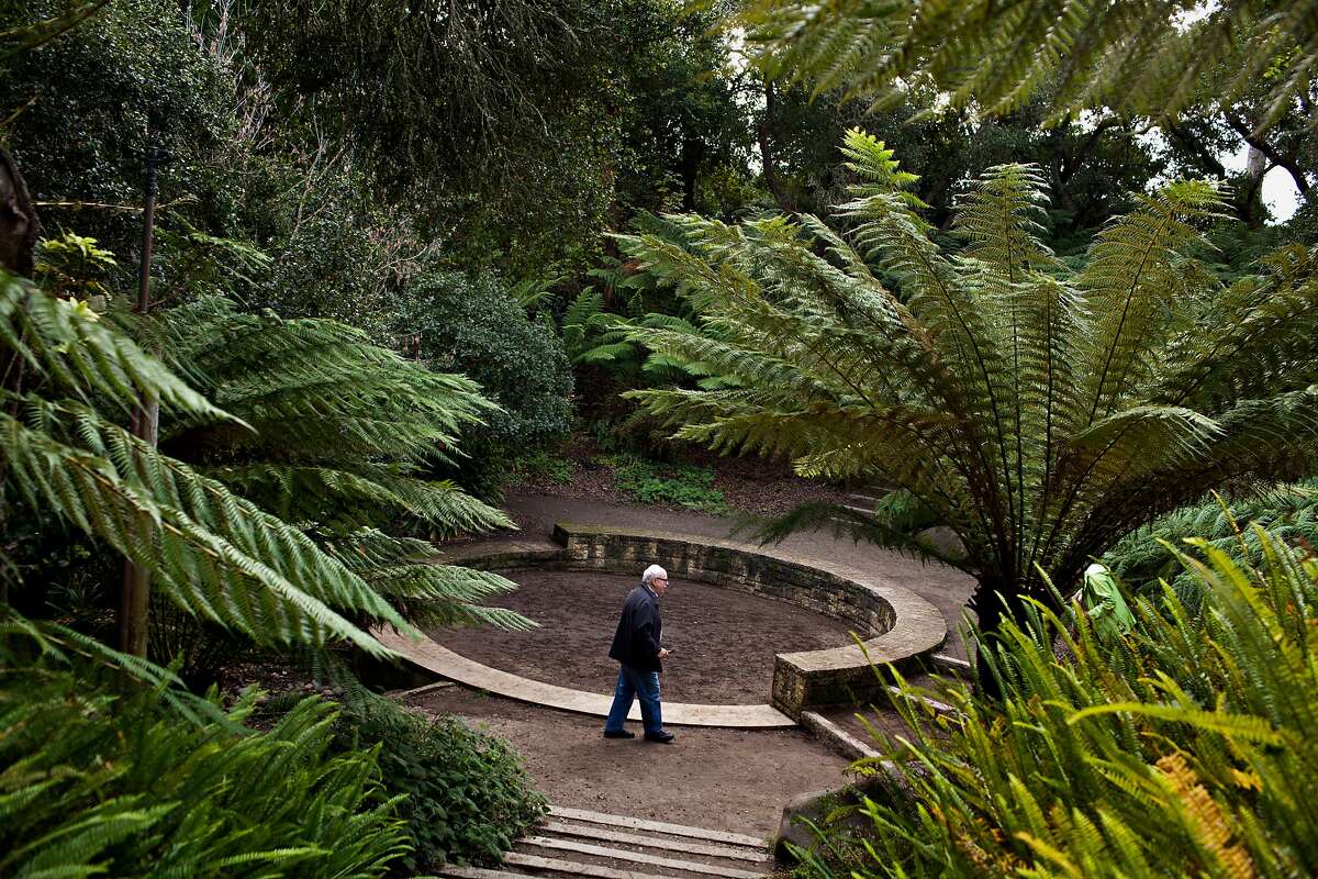 Jack Porter, a longtime volunteer with the National AIDS Memorial Grove, helps with maintenance while preparing for a celebration of the 20th anniversary of the grove on December 1 in Golden Gate Park, Monday, November 28, 2011. Jason Henry/Special to The Chronicle