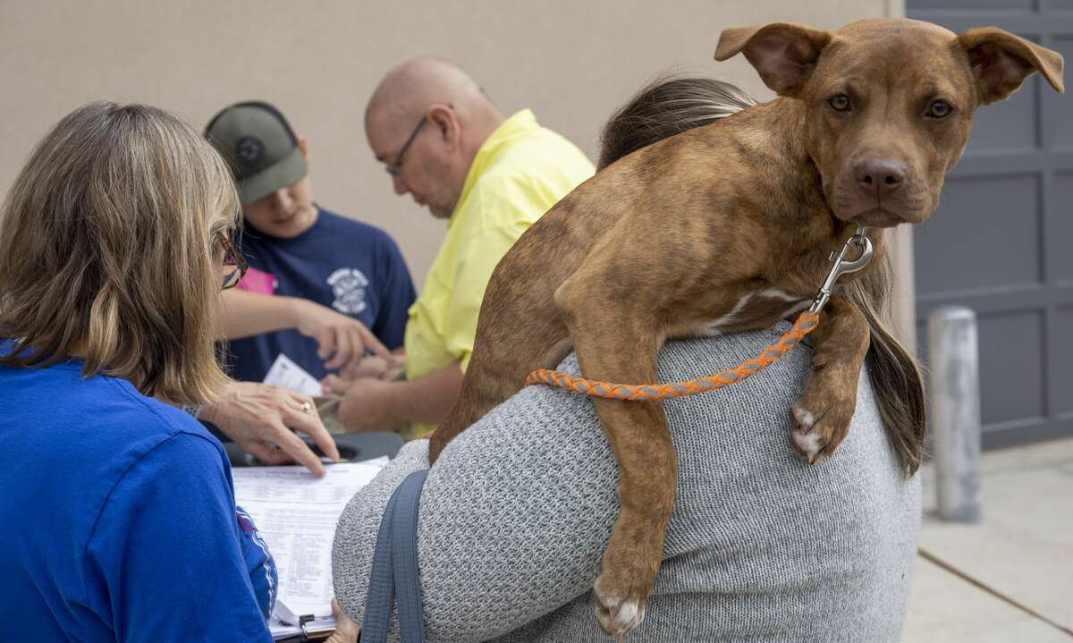 Fix West Texas Brings Clinic To Handle Overpopulation