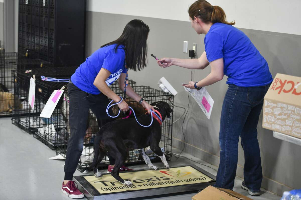 Fix West Texas Brings Clinic To Handle Overpopulation