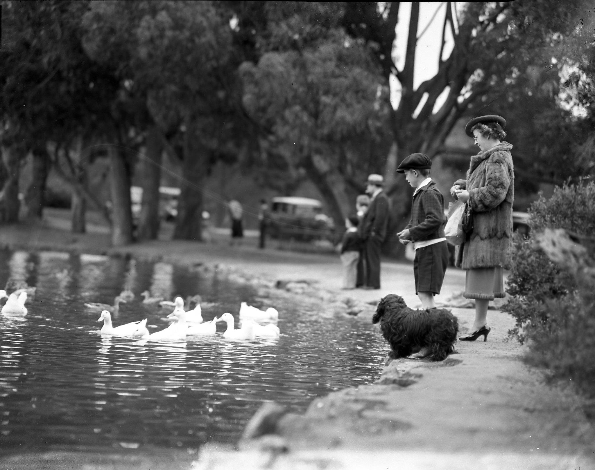 Golden Gate Park at 150 Archive photos of San Francisco at rest and