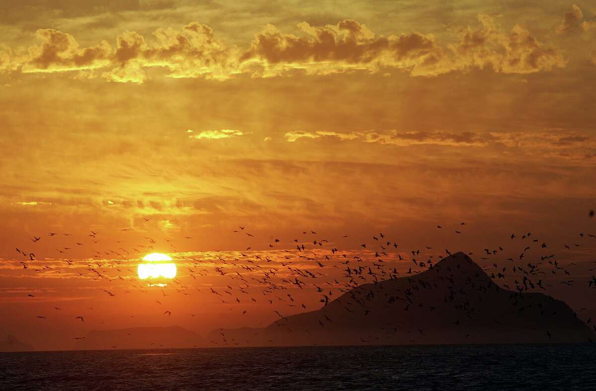 Birds take flight into the sunrise over Anacapa island, as seen from East Santa Cruz Island Scorpion Anchorage.