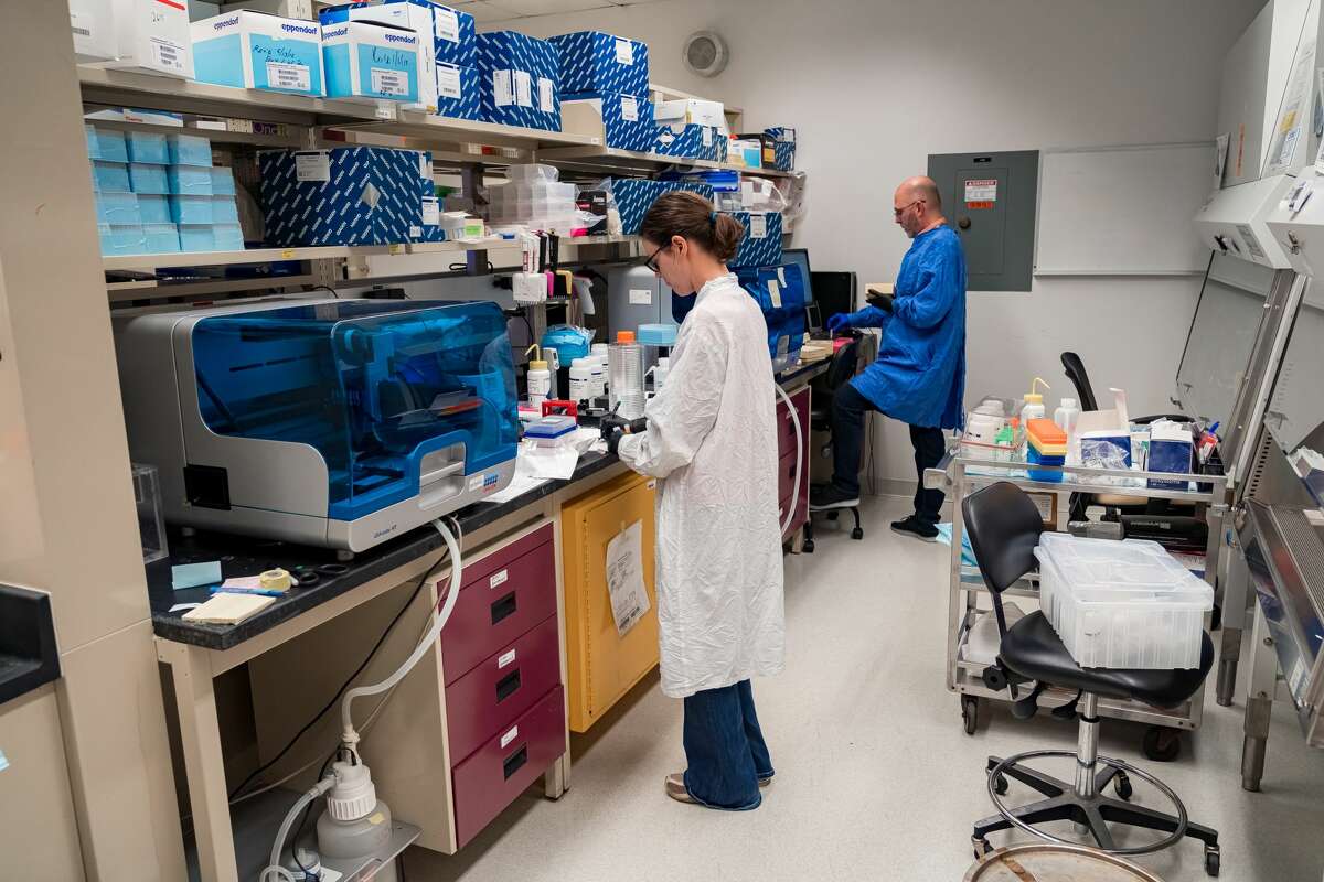 Clinical specimen testing for novel coronavirus (COVID-19) at New York State Department of Health's Wadsworth Laboratory. Wadsworth will be involved in an expanded wastewater testing program that will test for flu, RSV, norovirus and other pathogens coming into municipal sewer systems.