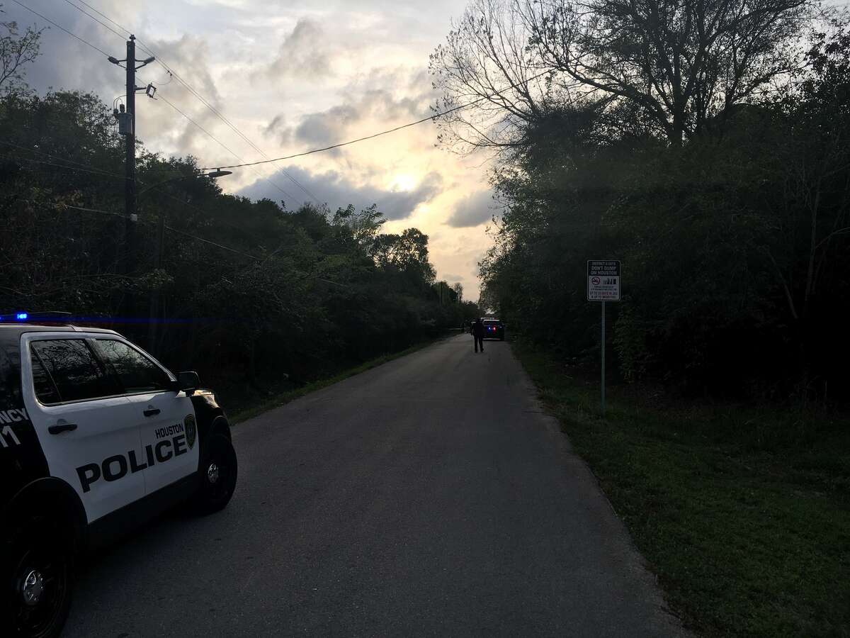 A man's body was found Friday near a roadway in the Hobby area after an apparent homicide, police said.