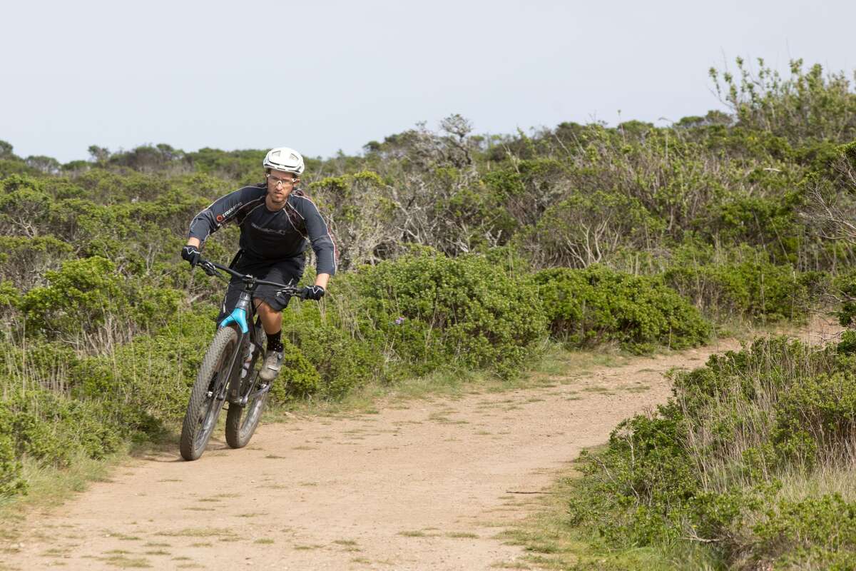 This absurdly beautiful Bay Area hike will help you take a break from ...