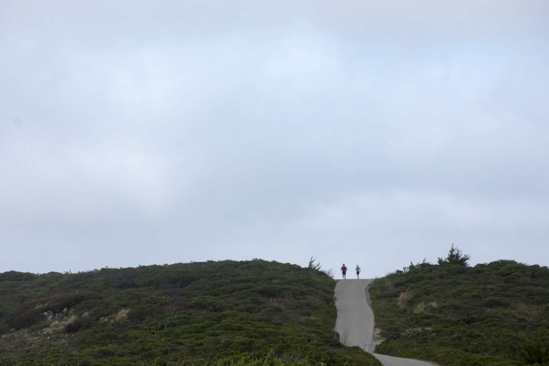 This absurdly beautiful Bay Area hike will help you take a break from ...