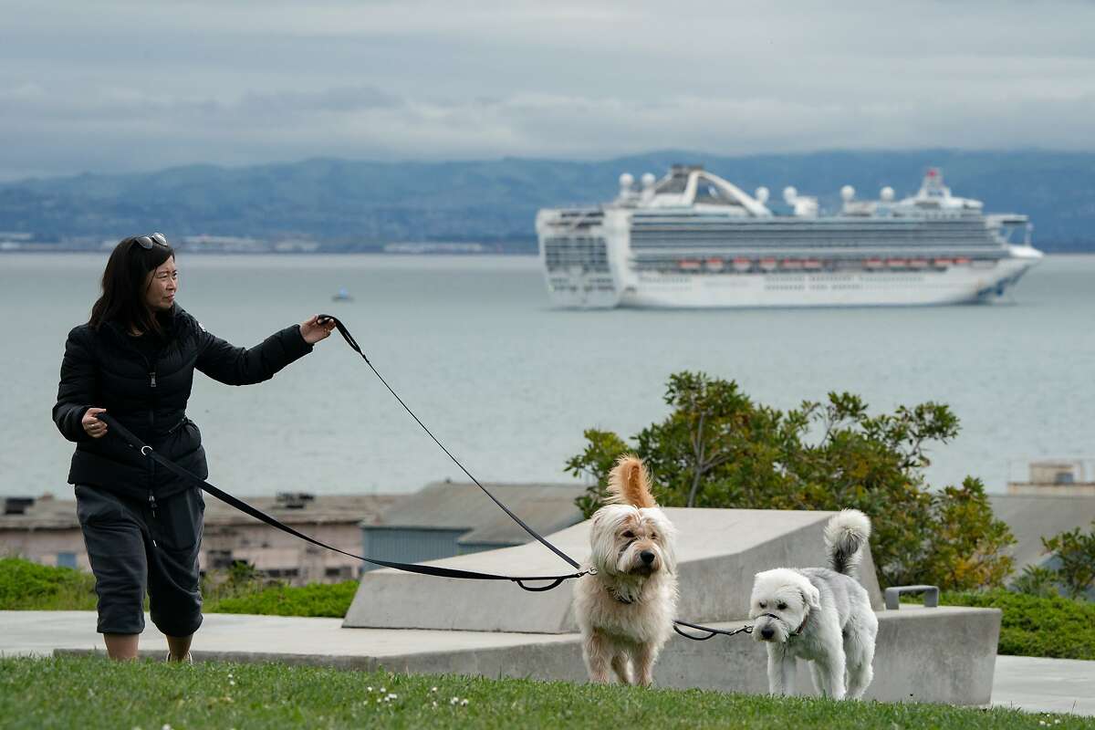 are there any cruise ships that allow dogs