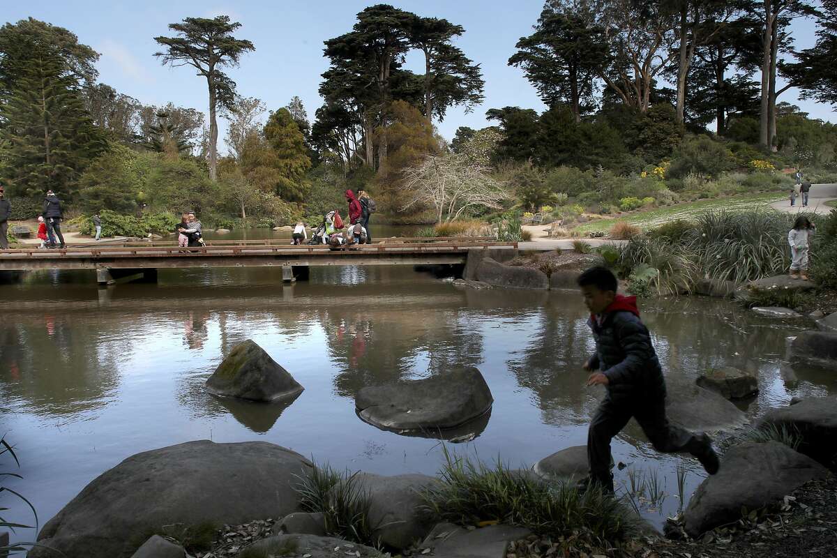 The Waterfowl Pond at the SF Botanical Gardens seen on Friday, March 13, 2020, in San Francisco, Calif.