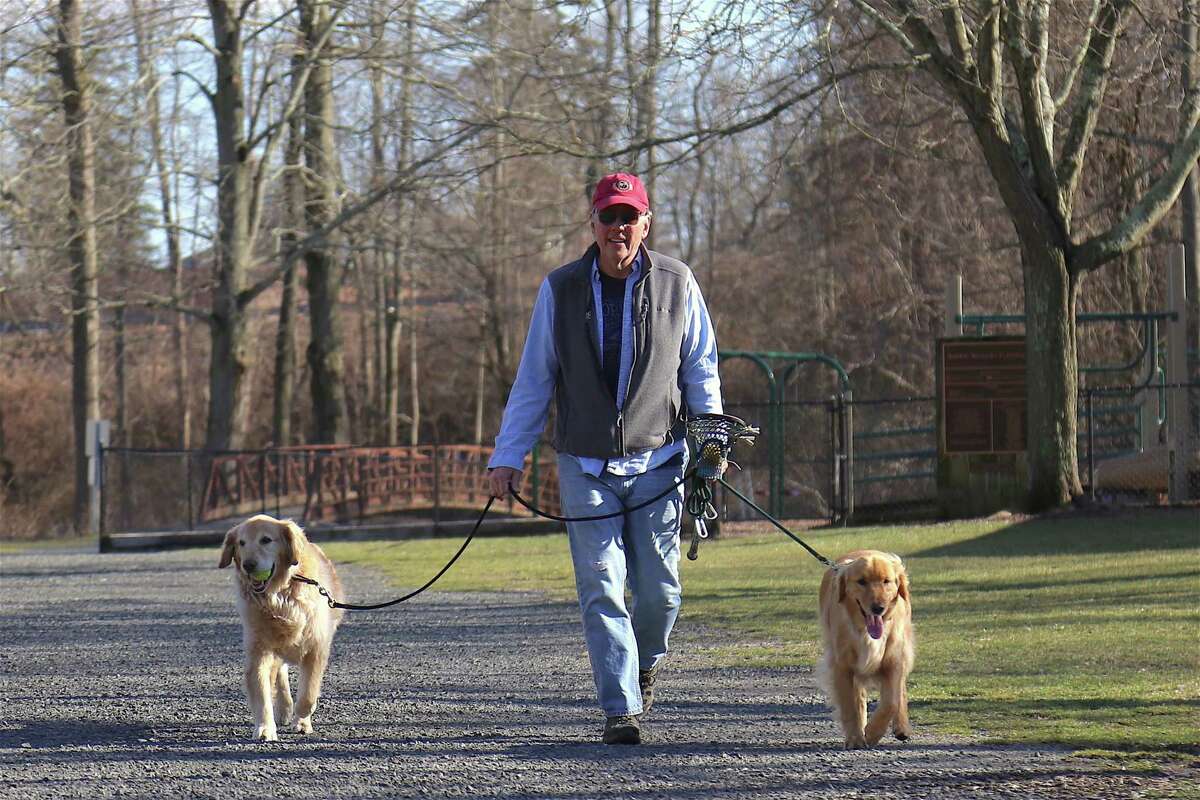Michael Sherman takes Bo, left, and Harry for a walk in Merwin Meadows Park.