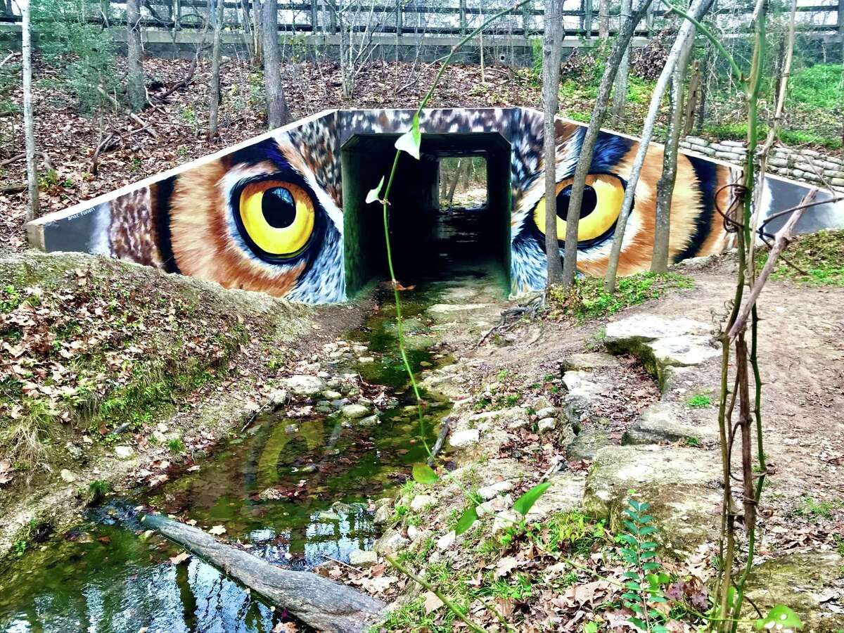 Muralist Anat Ronen has transformed the entrance to a tunnel along the Houston Arboretum & Nature Center's Ravine Trail with an homage to one of the park's most sought-after birds, the great horned owl.