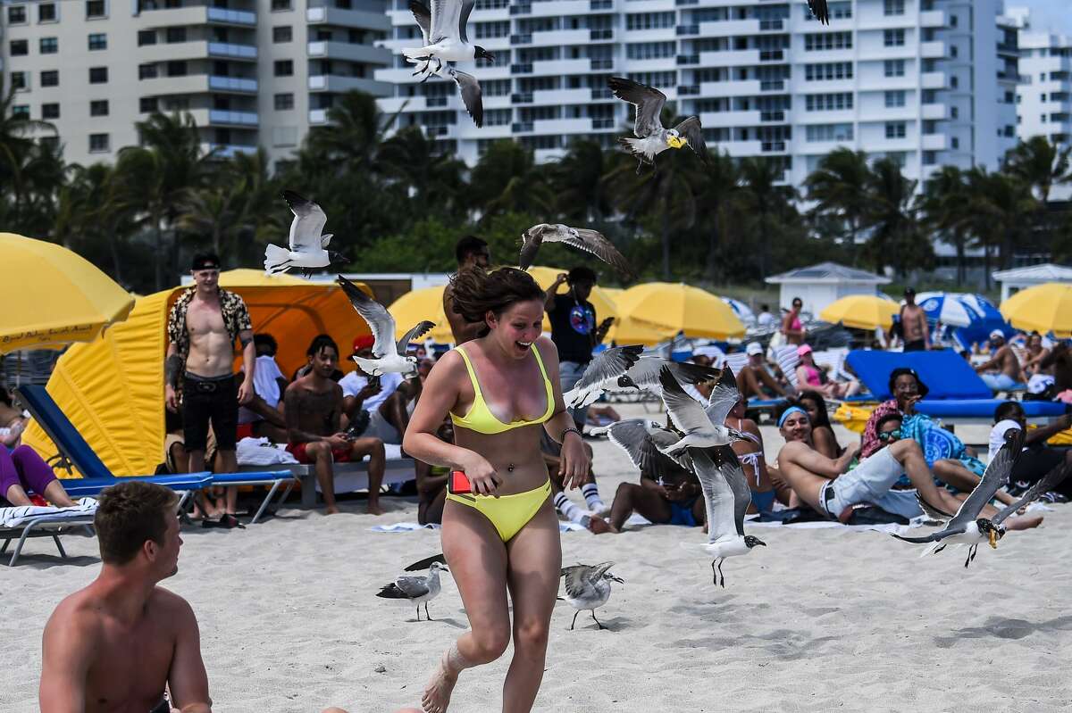 In Wake Of Wild Spring Break Scenes Miami Closes Beaches