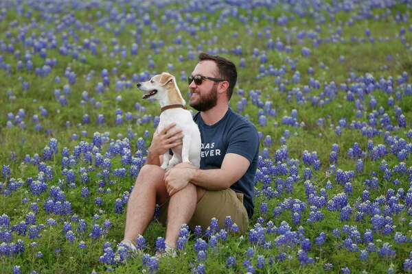 Bluebonnets Arrive Early In Texas And You Can Thank Climate Change For The Bit Of Sunshine Houstonchronicle Com