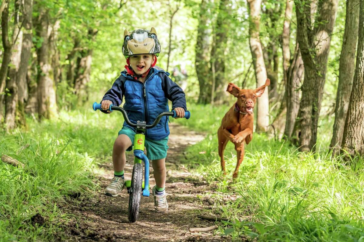 Cannondale is loaning bicycles so people may get out and get some fresh air.