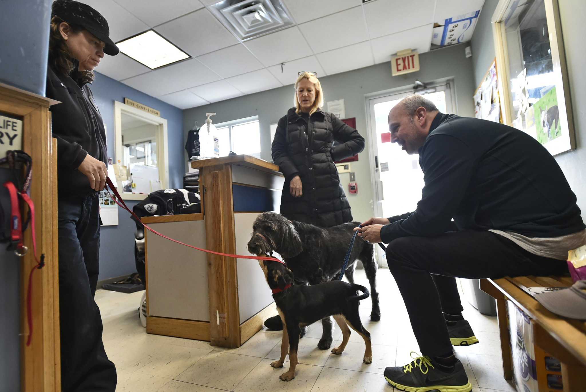 Dan Cosgrove Animal Shelter Dan Cosgrove Animal Shelter steps up for