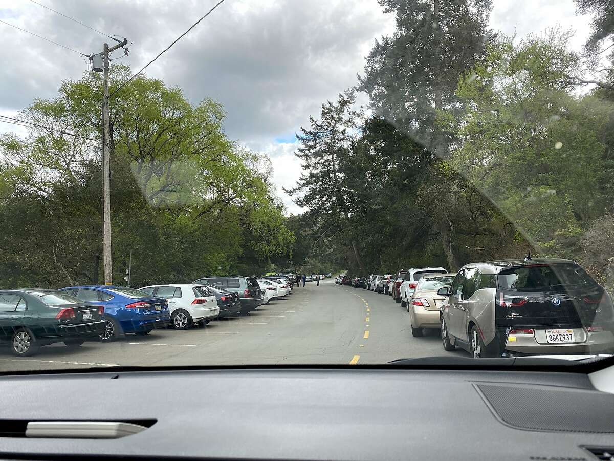 The front-seat view of jammed parking and cars lined up on the road's shoulder at Tilden Regional Park, from the front seat of Bob Doyle, general manager of the East Bay Regional Park District