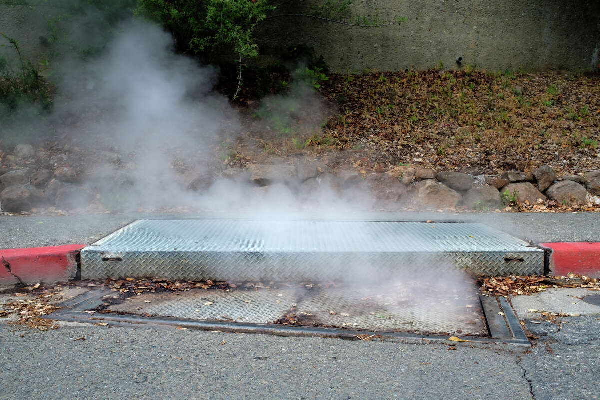 Steam rising from a grate at UC Berkeley campus.