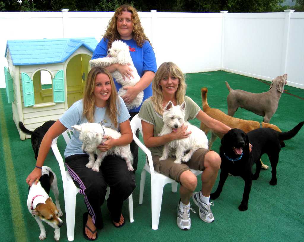 dog unleashed daycare