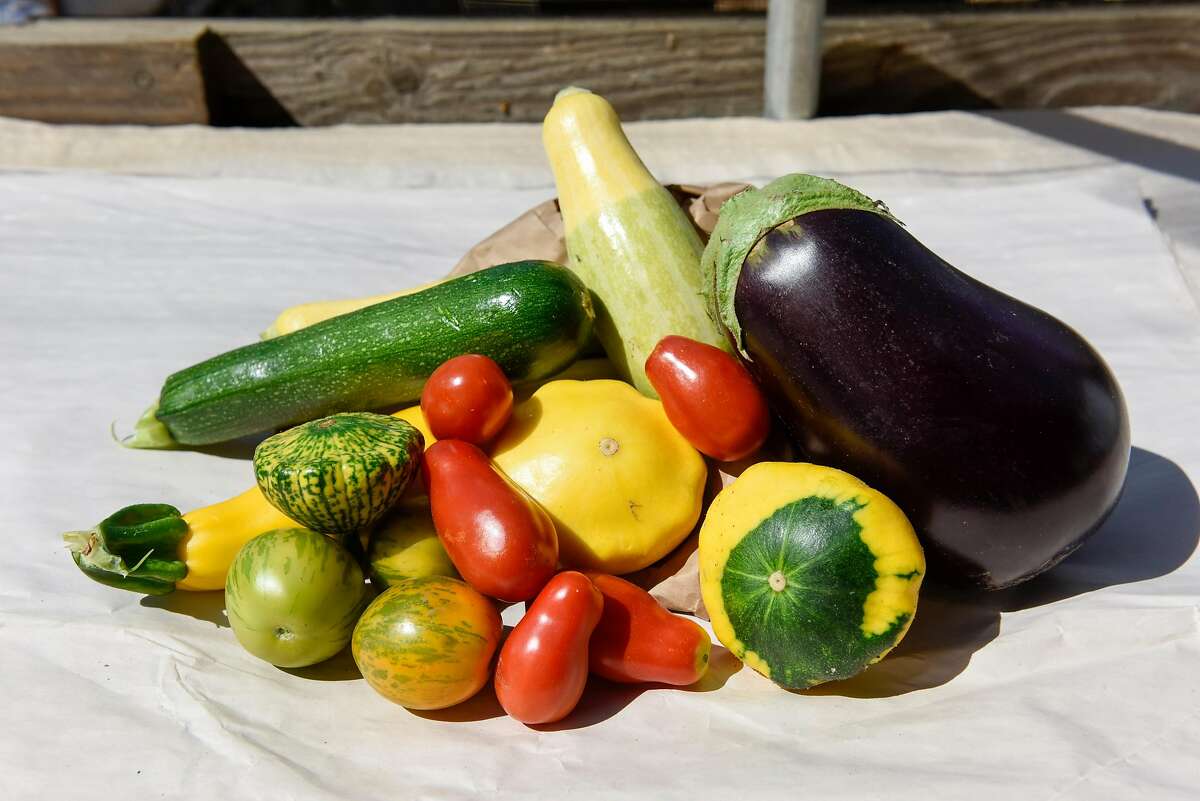 Vegetables grown at Eatwell Farm in Dixon, Calif., on September 17, 2019.