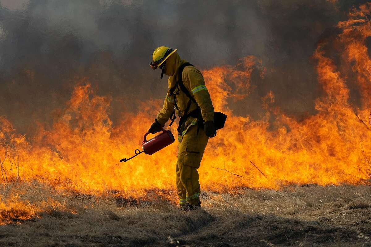 A firefighter uses a torch to start fire during a controlled burn training in Tracy, Calif., on Monday, June 17, 2019.