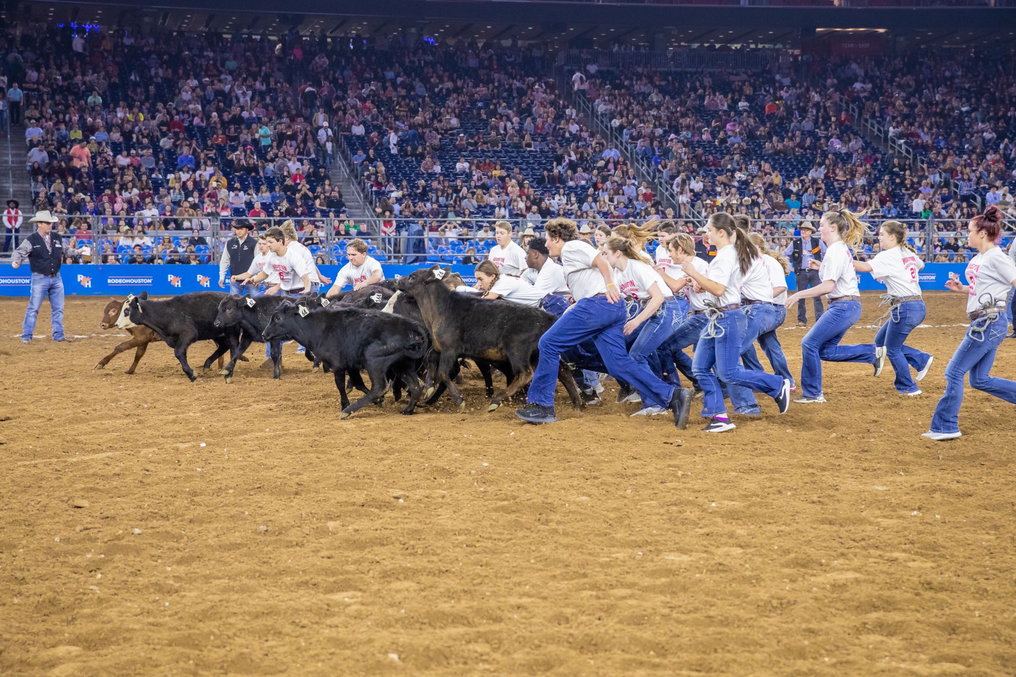 Need your RodeoHouston fix? Calfscrambling to be livestreamed this year