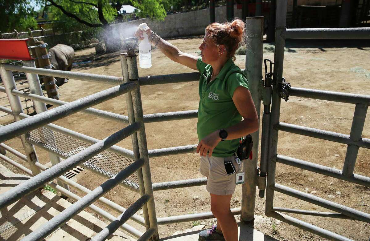 Melannie Lough, senior animal care specialist at the San Antonio Zoo, sprays a handle to disinfect it for the next staffer that may enter the facility at the Africa Live! rhino exhibit on Tuesday, Mar. 24, 2020. The coronavirus pandemic has forced the zoo to close temporarily but an essential staff of animal care specialists are still on duty to care for the animals. In the meantime, the staff on site are also taking precautionary measures by disinfecting common touch area like gates and doors to keep the virus from spreading among staff members.