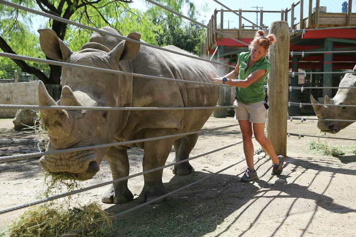 The San Antonio Zoo and Kiddie Park are closing early this week as dangerous heat remains in the forecast. 