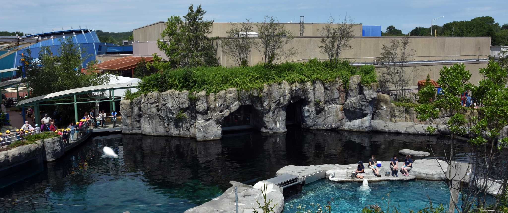 You Can Still ‘visit Maritime Aquarium At Norwalk Mystic Aquarium