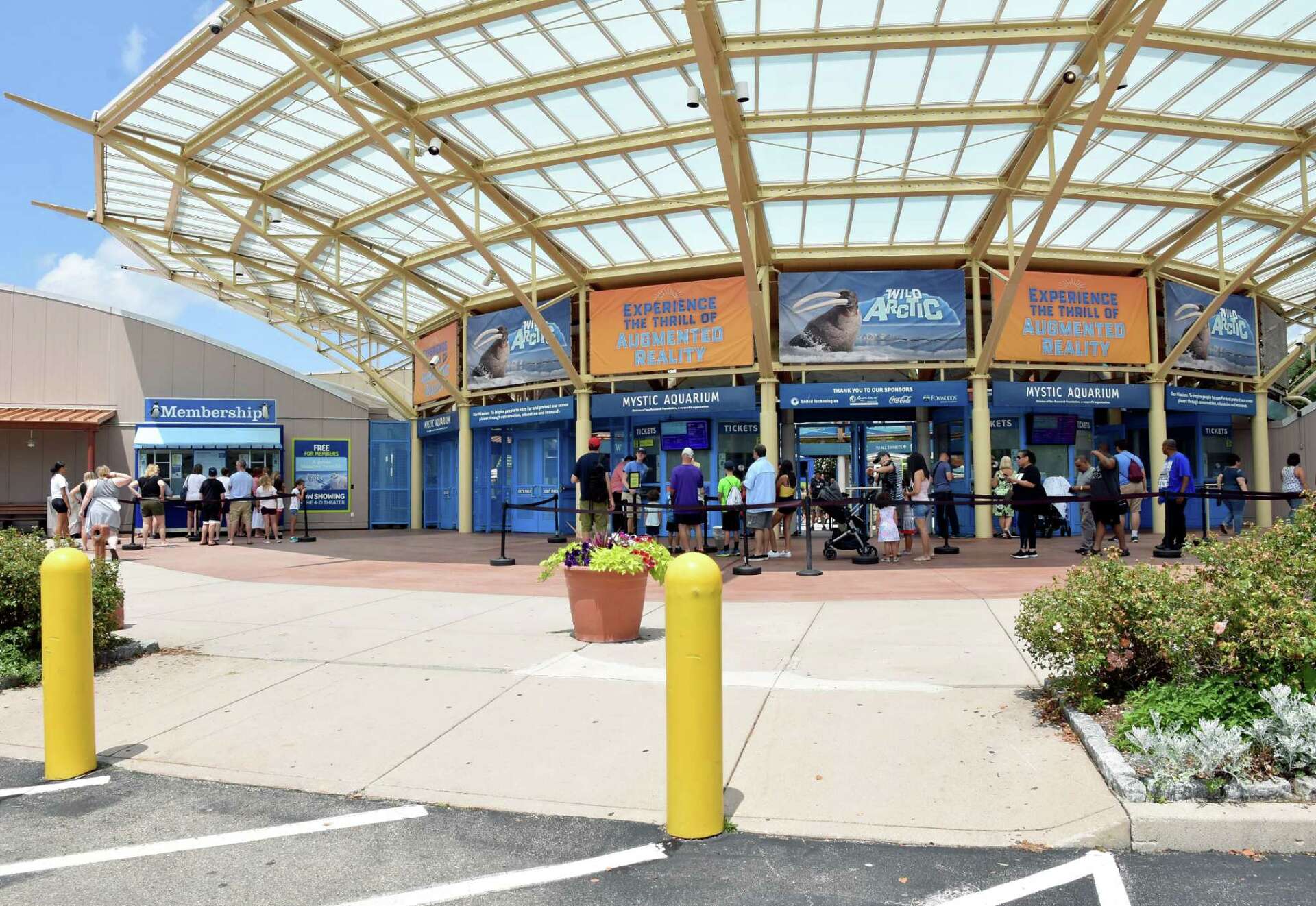 You can still 'visit' Maritime Aquarium at Norwalk, Mystic Aquarium