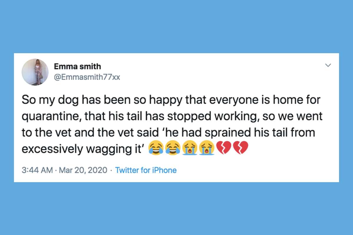 Feeling stressed while quarantining at home? These relevant memes and tweets might help.