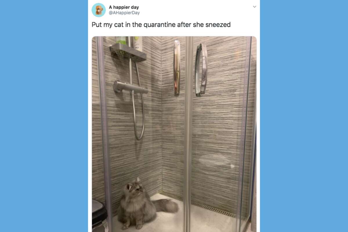 Feeling stressed while quarantining at home? These relevant memes and tweets might help.