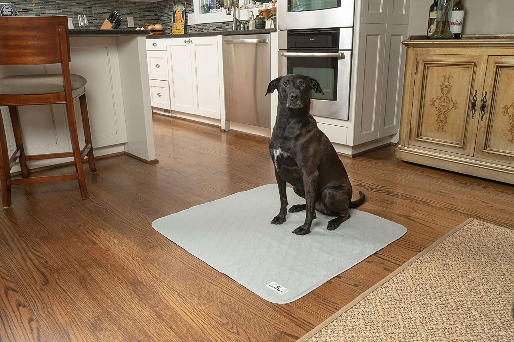 dog potty pad