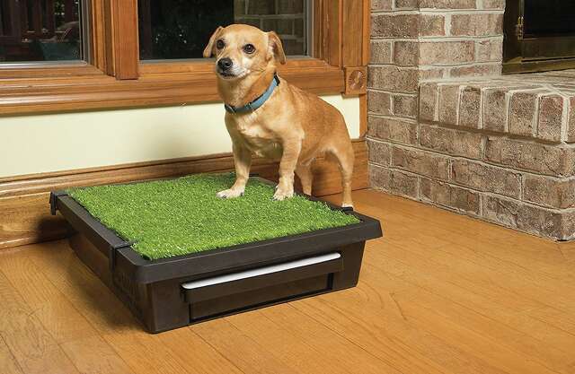 petmaker potty trainer large