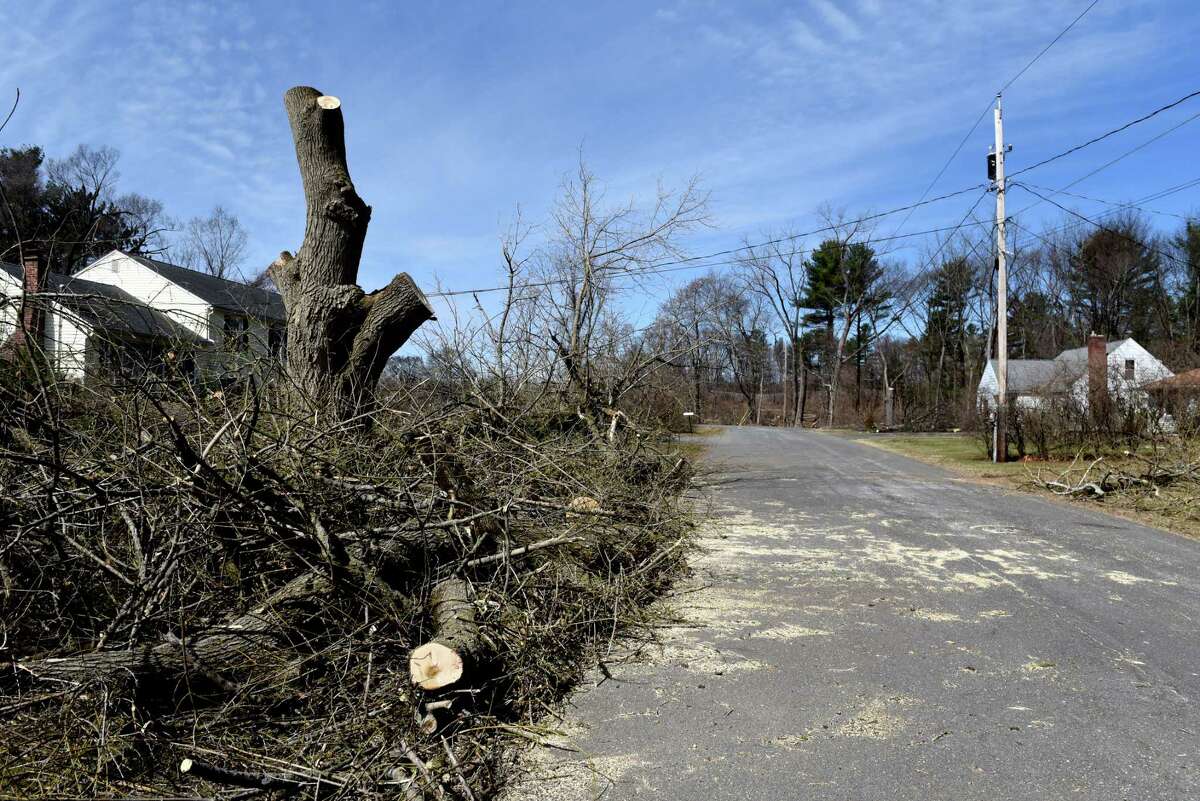 Trees are felled along Rielton Ct. as plot of land on Western Avenue near Rapp Road is cleared for construction of a planed Costco store on Friday, March 27, 2020, in Guilderland, N.Y. (Will Waldron/Times Union)