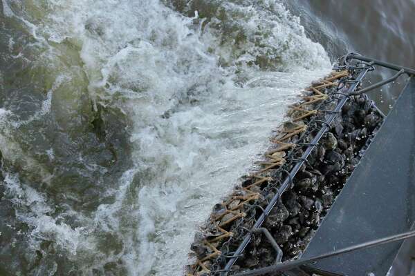 Oysters in Galveston Bay are on the rebound. Will it stay that way