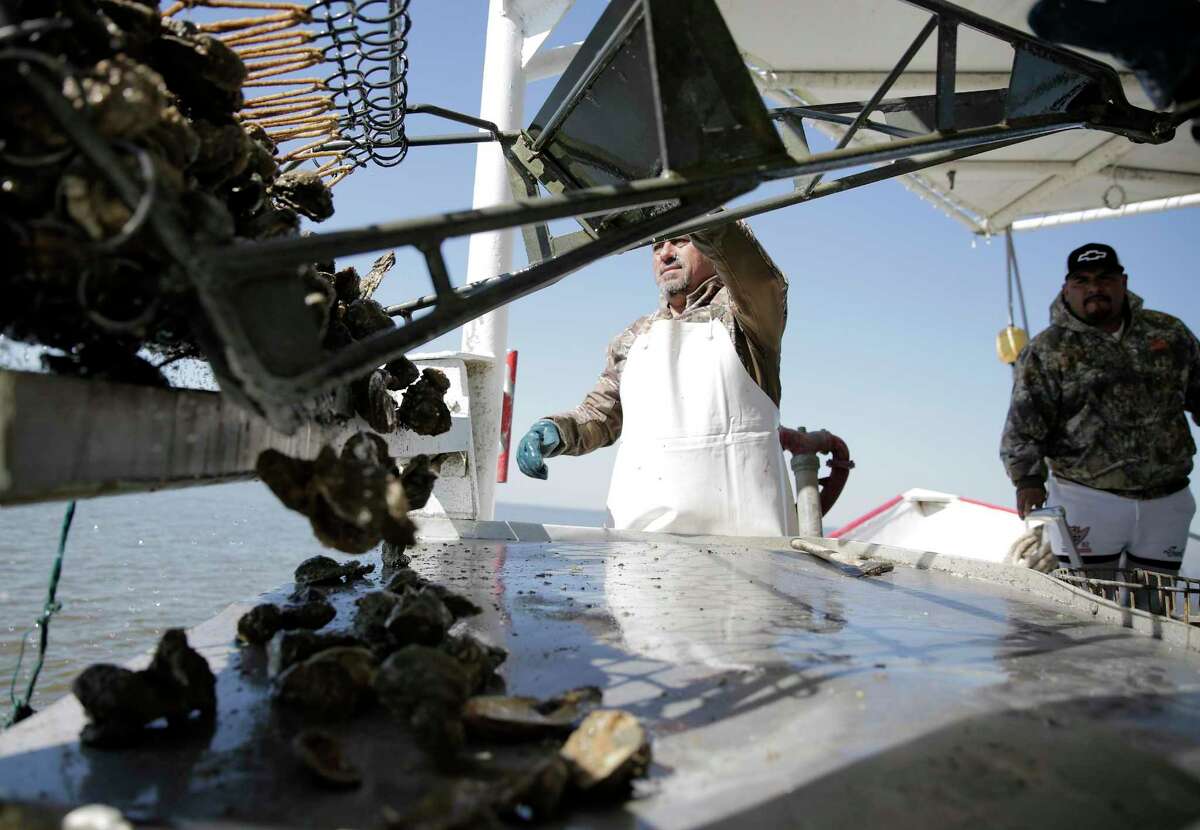 Oysters in Galveston Bay are on the rebound. Will it stay that way?