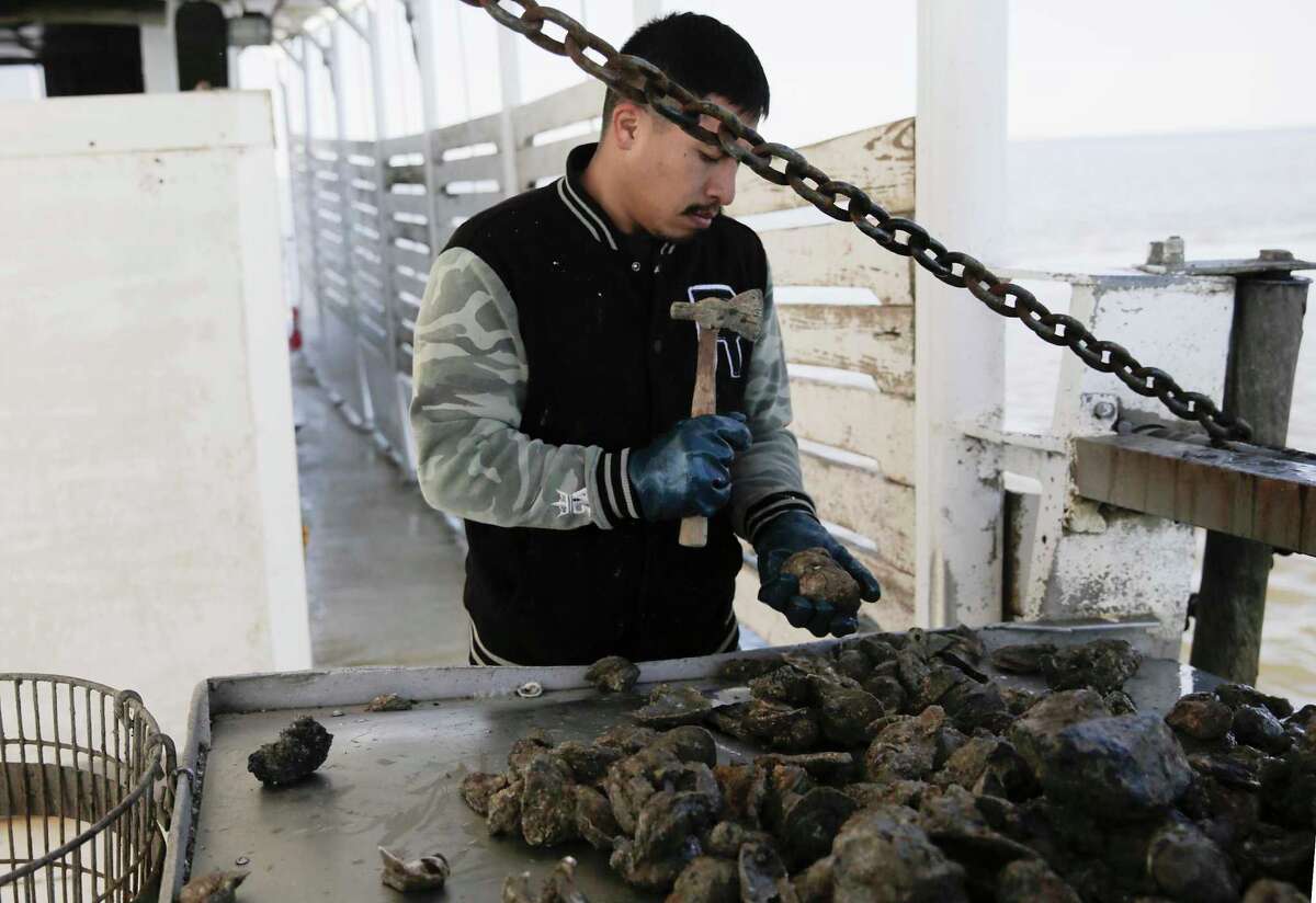 Oysters in Galveston Bay are on the rebound. Will it stay that way?