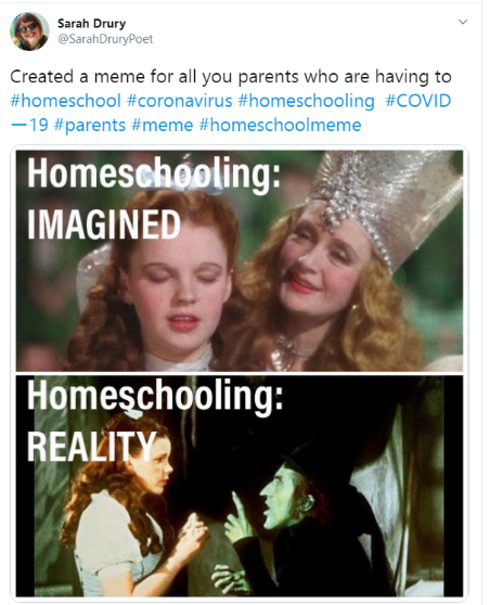 Homeschooling Memes Let Parents Vent About Their Coronavirus Outbreak Classes