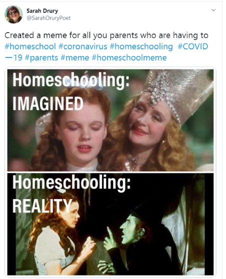 Homeschooling Memes   RawImage 