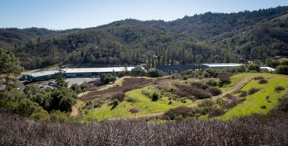 2020年2月26日，加利福尼亚州红木谷的Flow Kana概述。