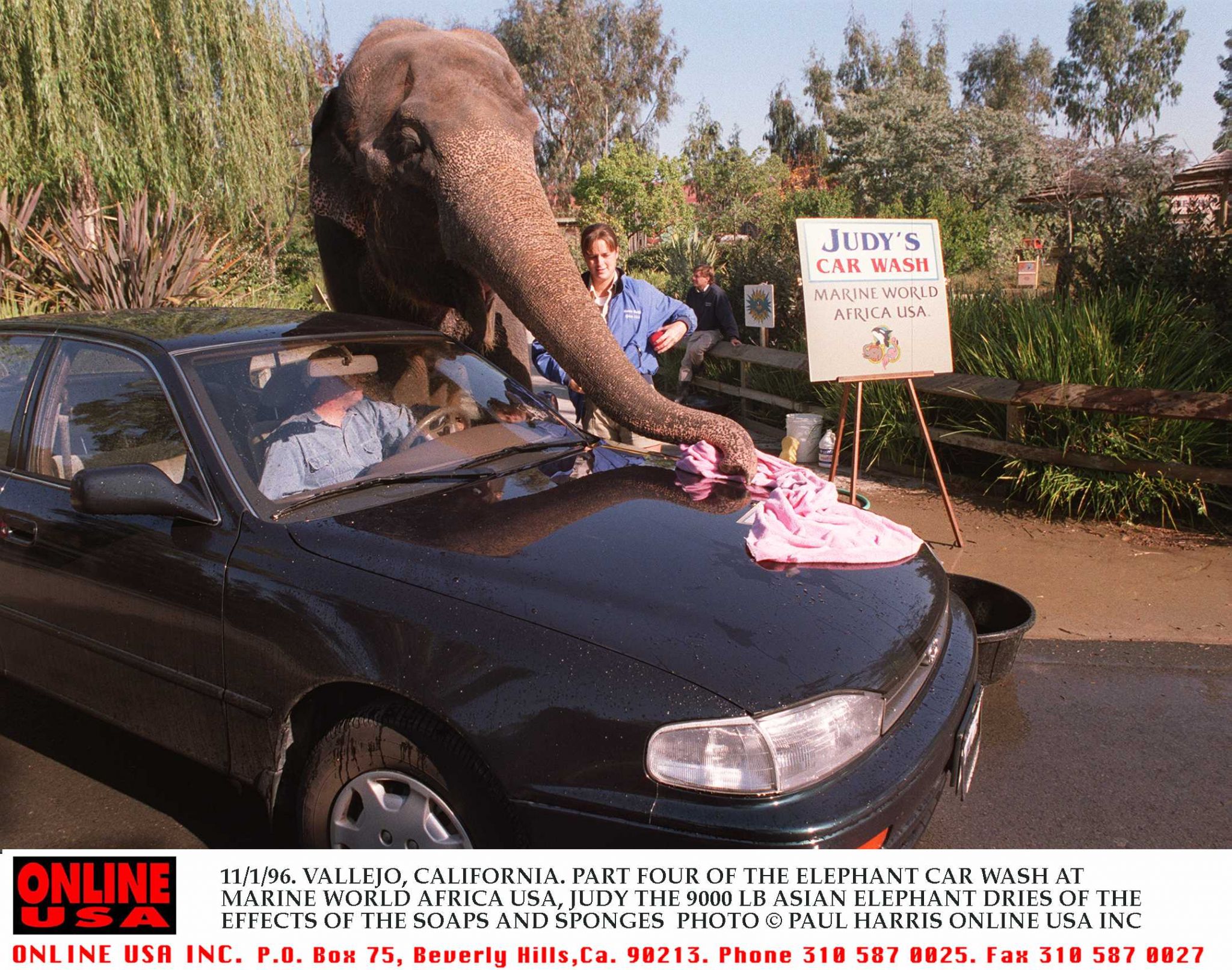 The greatest Bay Area commercials of all time