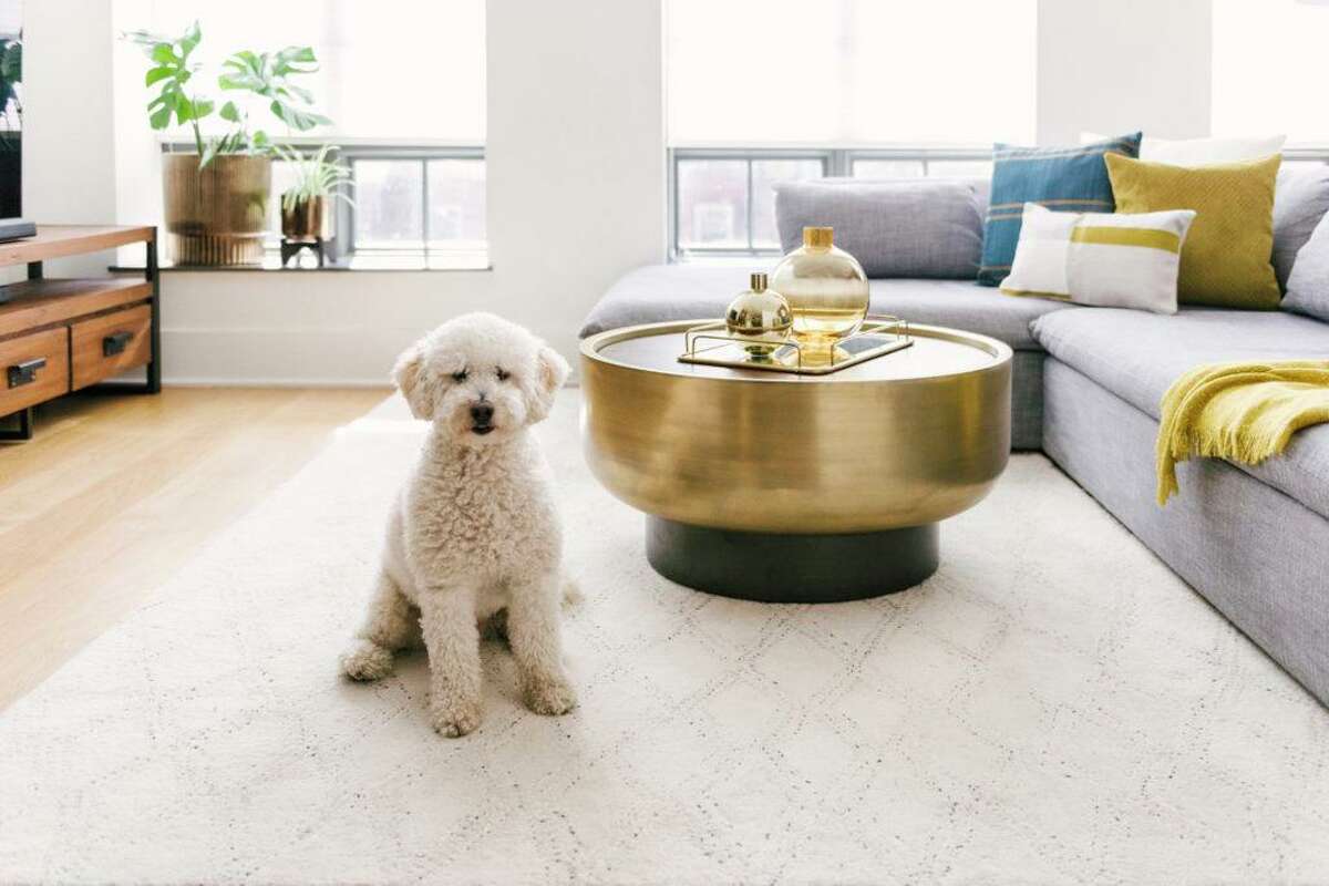 West Elm home good stores are offering free virtual background images for people who are telecommuting and want to look like they live in well-designed homes. This one even comes with a cute labradoodle.
