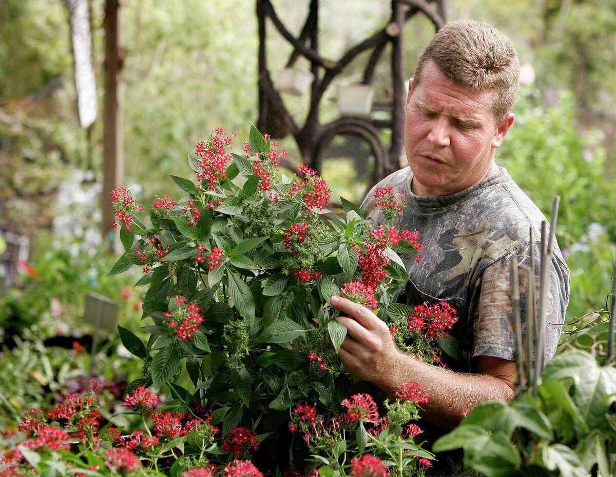 Joshua Kornegay, owner of Joshua's Native Plants, points out various flowering plants that help feed hummingbirds and butterflies in a file photo from 2008.