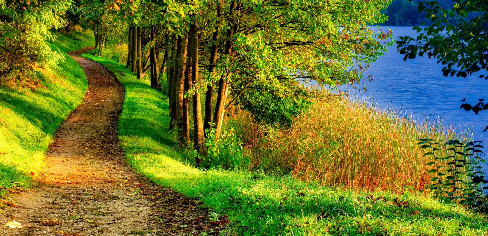 GOD SQUAD: Nature wordlessly speaks of God's presence